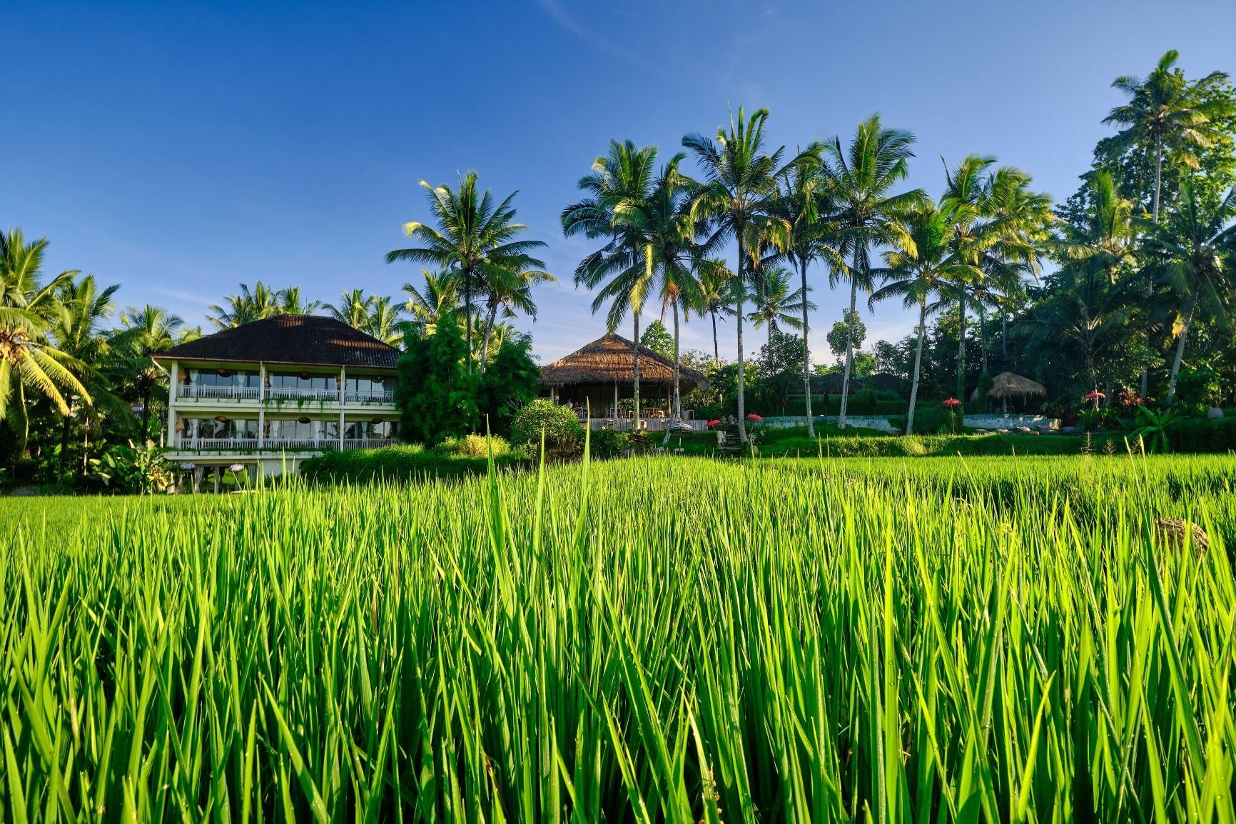 Mathis Retreat Ubud Eksteriør bilde